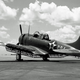 A Douglas A-24 Banshee, the US Army variant of the SBD Dauntless, displays its spilt flaps used for dive bombing attacks (US Army)